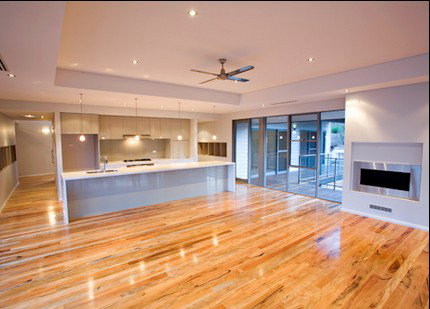 Springate Constructions - Noosa Builders 2