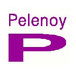 Pelenoy Constructions Pty Ltd - Noosa Builders