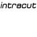 Intracut - Noosa Builders 0