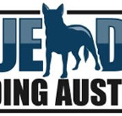 Blue Dog Building Australia - Noosa Builders